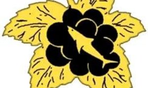 Boland Shore Angling Association Golf Day